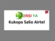 Jinsi ya Kukopa Salio Airtel Niwezeshe Menu 2024