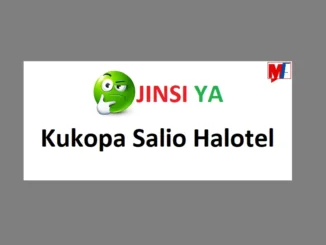 Jinsi ya Kukopa Salio Halotel Niwezeshe Menu 2024