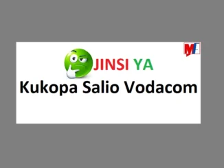 Jinsi ya Kukopa Salio Nipige Tafu Vodacom 2024