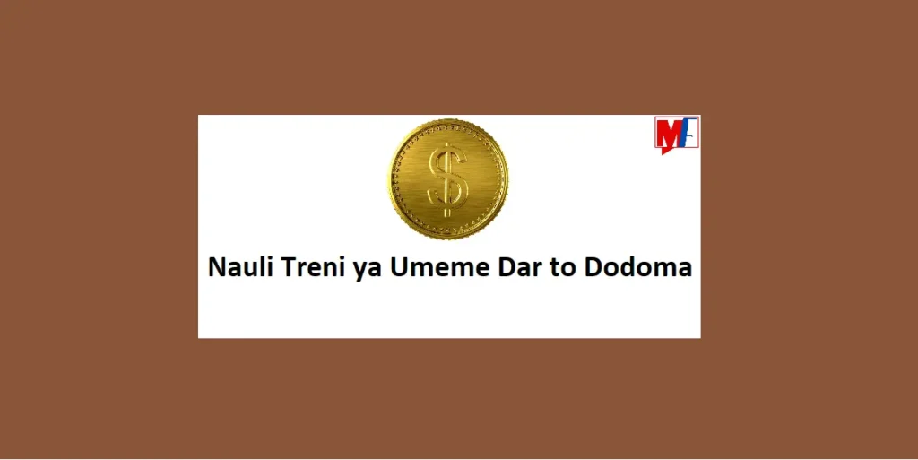 Nauli ya Treni ya Umeme SGR Dar to Dodoma