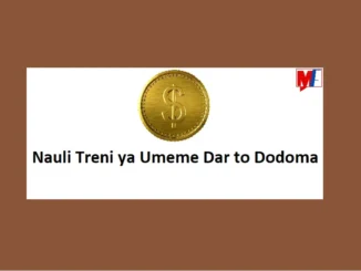 Nauli ya Treni ya Umeme SGR Dar to Dodoma