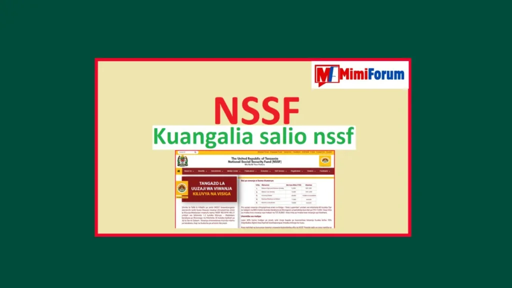 Jinsi ya Kuangalia Salio NSSF