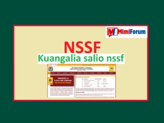 Jinsi ya Kuangalia Salio NSSF