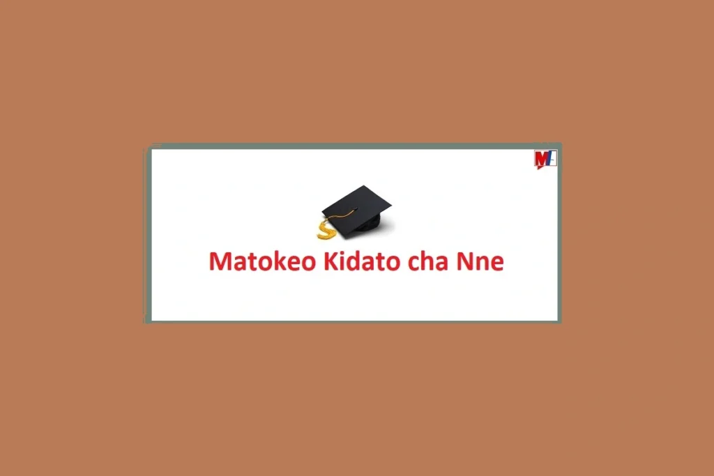Matokeo ya Form 4 Necta 2024 to 2025