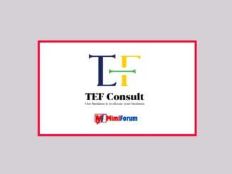 Nafasi za kazi TEF Consult, 2 Machi 2025