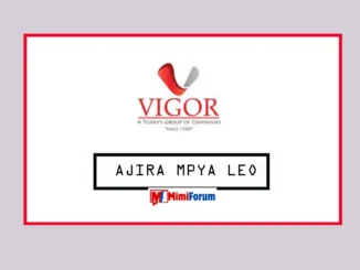 Nafasi za kazi VIGOR Group of Companies April 2025,Meneja wa Rasilimali Watu at VIGOR Group of Companies April 2025, Nafasi ya Kazi Msimamizi Mkuu wa Fedha VIGOR Group of Companies Aprili 2025