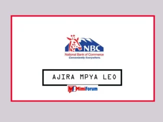 Nafasi za kazi Benki ya NBC April 2025,Nafasi za kazi Manager Service Centre NBC Bank April 2025,Nafasi za kazi Branch Manager NBC Bank April 2025,Nafasi za kazi Benki ya NBC April 2025