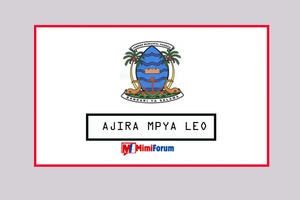 Nafasi za kazi Halmashauri ya Manispaa ya Temeke April 2025