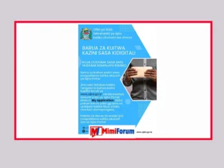 Jinsi Ya Kupata Barua Ya Kuripoti Kazini Bila Kwenda UTUMISHI Dodoma