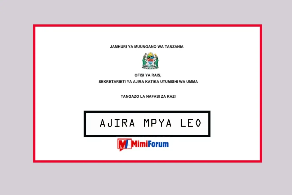 Nafasi za Kazi MDA’s na LGA’s April 2025