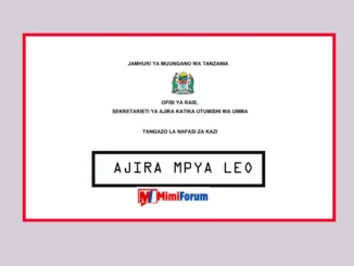 Nafasi za Kazi MDA’s na LGA’s April 2025