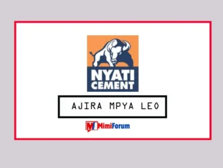 Nafasi za kazi Lake Cement April 2025