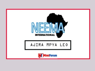 Nafasi za Kazi za Ualimu Neema International April 2025