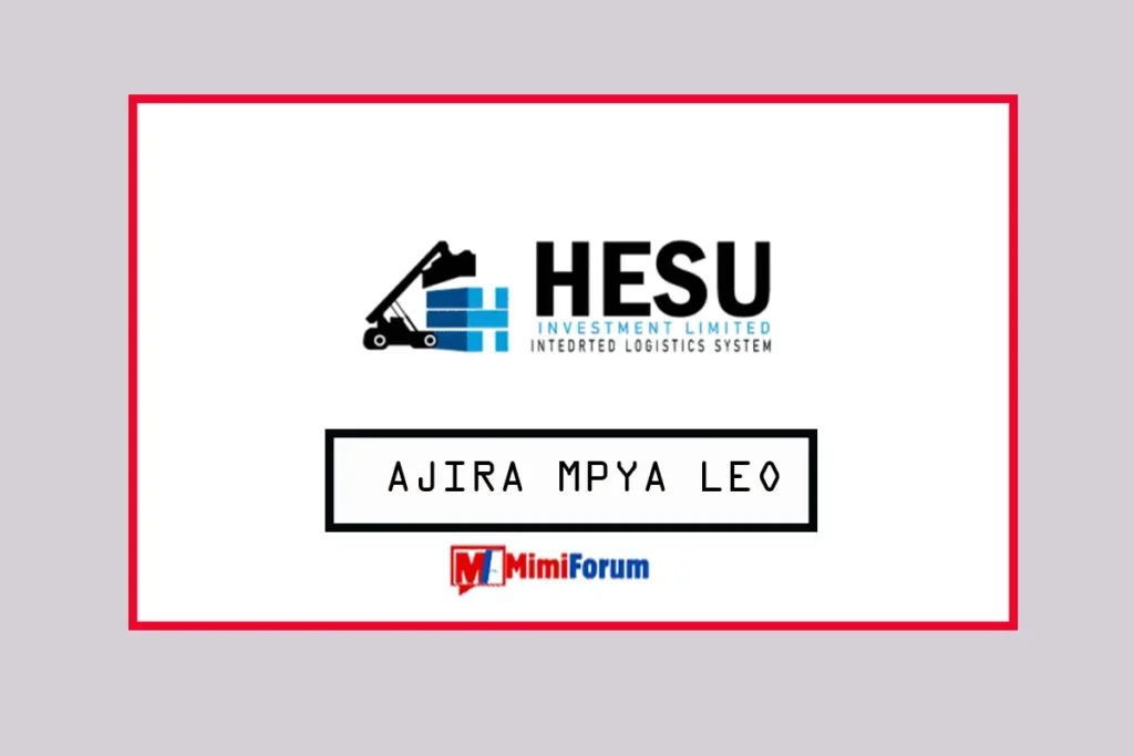 Nafasi za kazi Hesu Investment Ltd April 2025