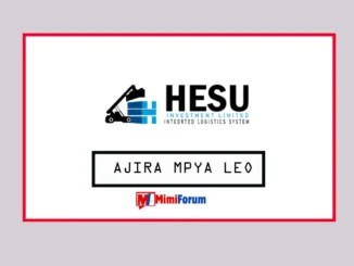 Nafasi za kazi Hesu Investment Ltd April 2025