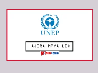 Nafasi za kazi UNEP Tanzania April 2025