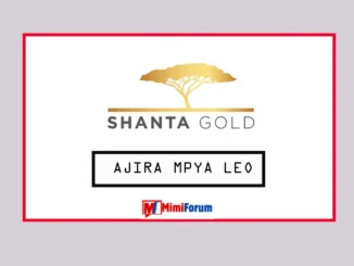 Nafasi za kazi Shanta Gold April 2025