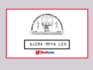 Nafasi za kazi Mbeya University April 2025