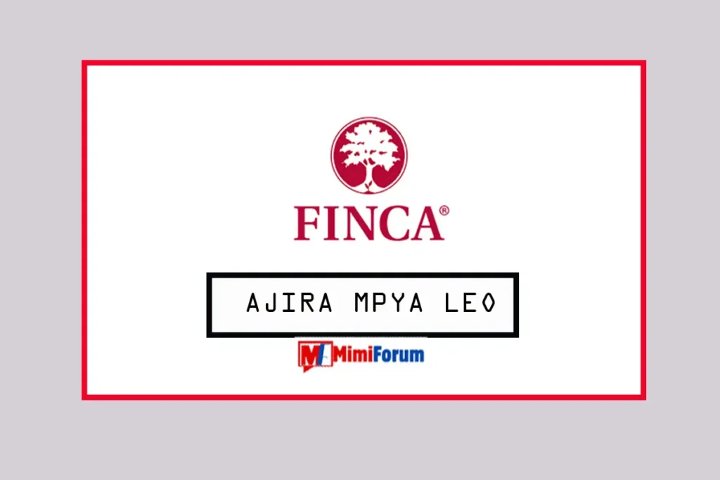 Nafasi za kazi FINCA May 2025