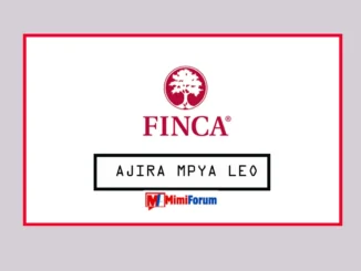 Nafasi za kazi FINCA May 2025