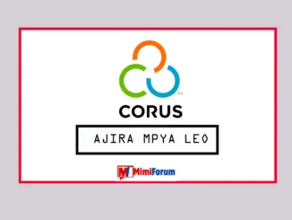 Nafasi za kazi Corus International April 2025