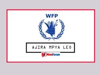 Nafasi za Kazi WFP April 2025, Nafasi za kazi Shirika la WFP Tanzania April 2025