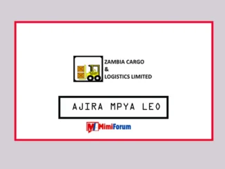Nafasi za kazi Zambia Cargo & Logistics Limited April 2025, Meneja wa Ununuzi at Zambia Cargo April 2025, Msaidizi wa TEHAMA at Zambia Cargo April 2025