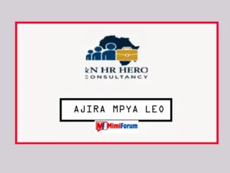 Nafasi za kazi E&N HR Heroes Consultancy April 2025