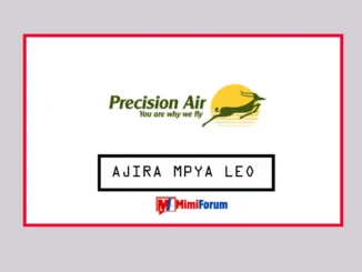 Nafasi za Kazi Precision Air May 2025, Nafasi za kazi Afisa Mauzo Precision Air 2025