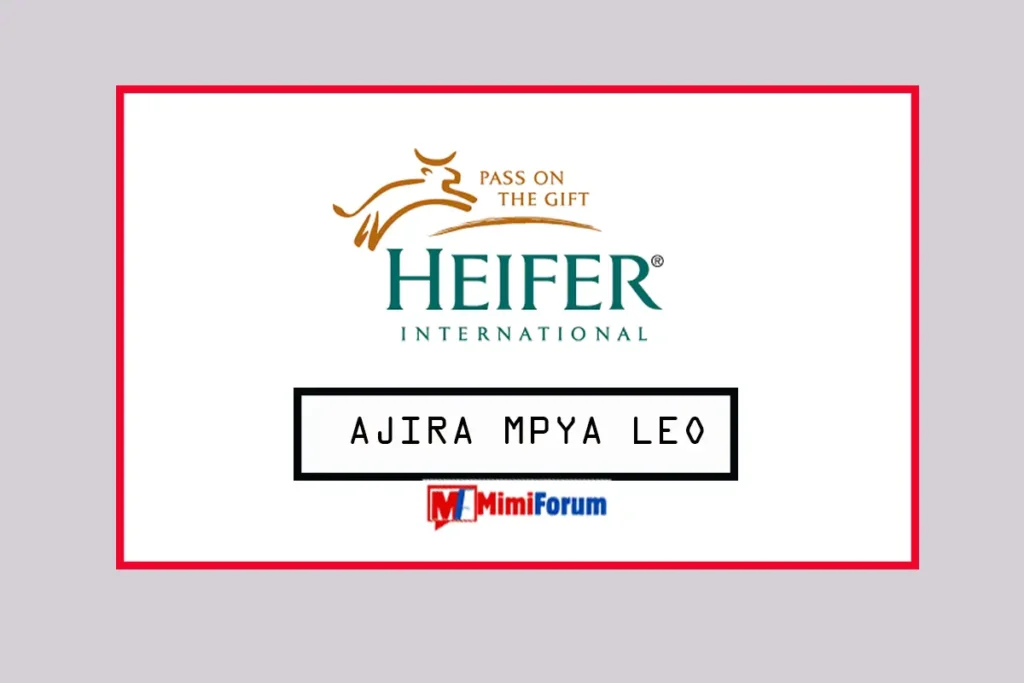 Nafasi za kazi Heifer International May 2025