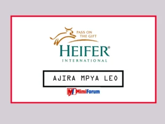 Nafasi za kazi Heifer International May 2025