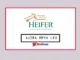 Nafasi za kazi Heifer International May 2025