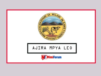 Nafasi za kazi Udereva Halmashauri ya Wilaya ya Same May 2025