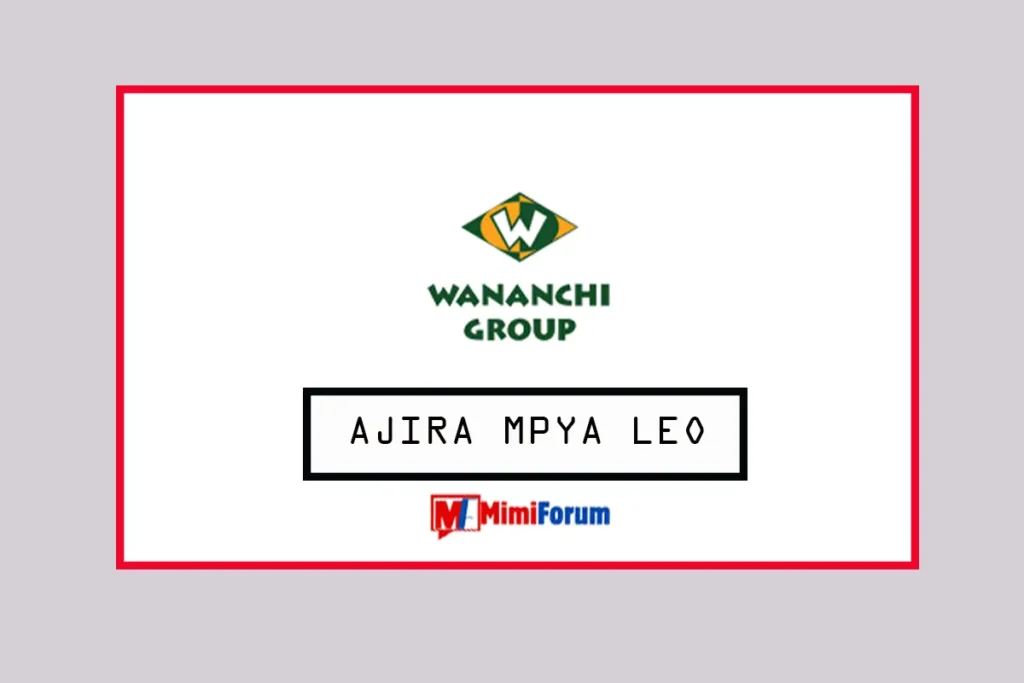 Nafasi za kazi Wananchi Group Tanzania May 2025