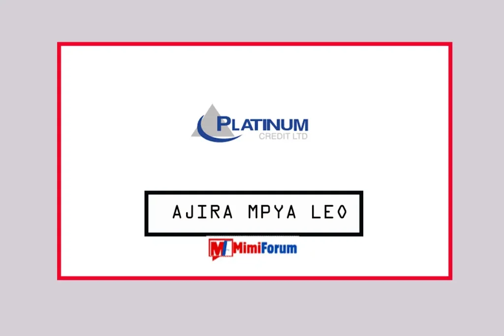 Nafasi za kazi Platinum Credit LTD May 2025