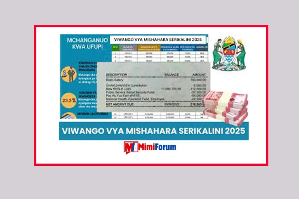 Viwango Vipya Vya Mishahara Serikalini 2025