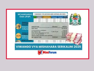 Viwango Vipya Vya Mishahara Serikalini 2025