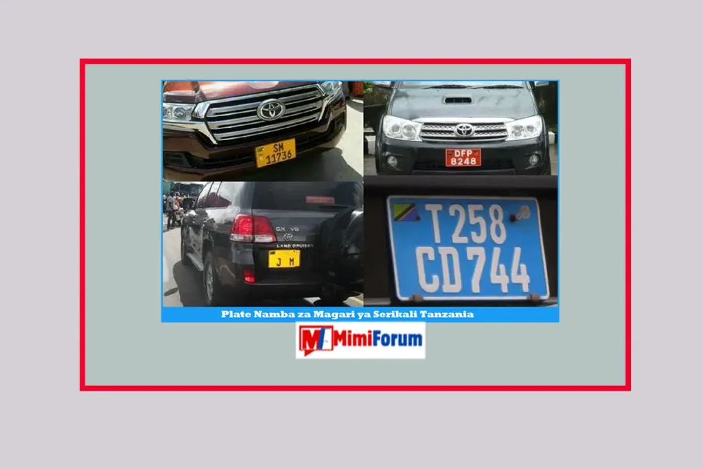 Plate Namba za Magari ya Serikali Tanzania