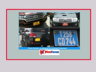 Plate Namba za Magari ya Serikali Tanzania