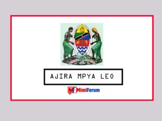 Nafasi za kazi Halmashauri Mbalimbali Tanzania 2025
